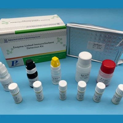 Diazepam Elisa Reagent Kit Eia Détection de l'ADN et de l'ARN du virus