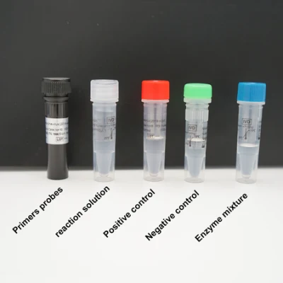 2019 Kit de détection d'acides nucléiques PCR-Fluorescence Probing